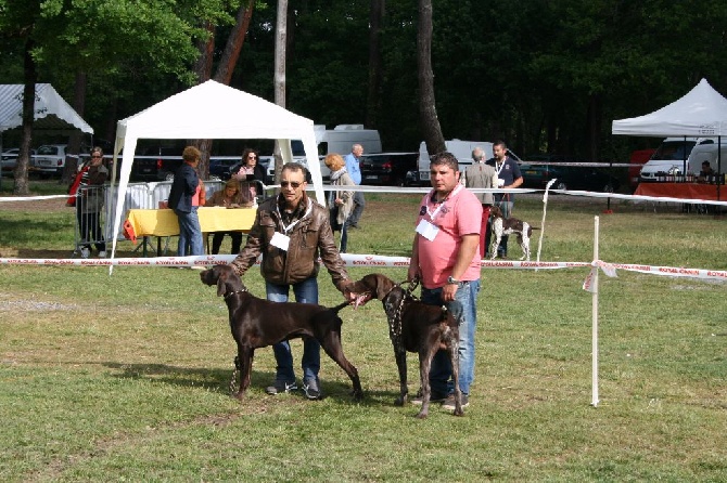 des dames de garonne - Nationale d'élevage 2015